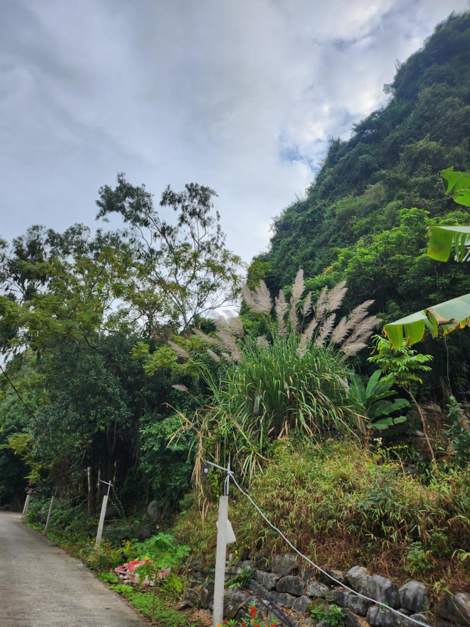 2Stones Cat Ba Homestay Chan Chau Экстерьер фото
